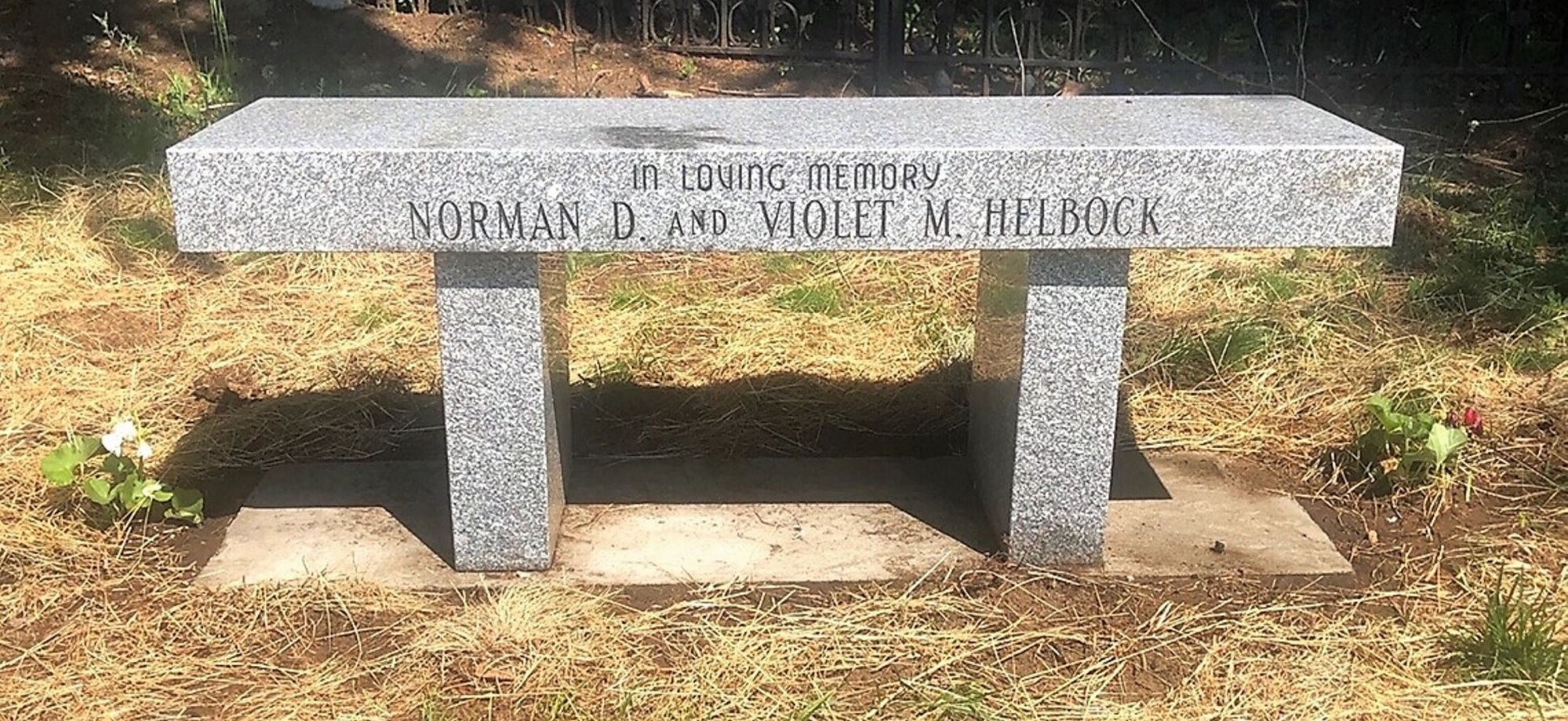 ‘Oh beautiful, for heroes proved’